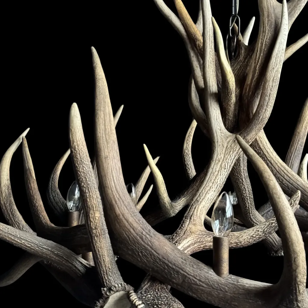 Antler Lamp Wapiti – A Radiant Piece of Natural Art - preview photo 5123