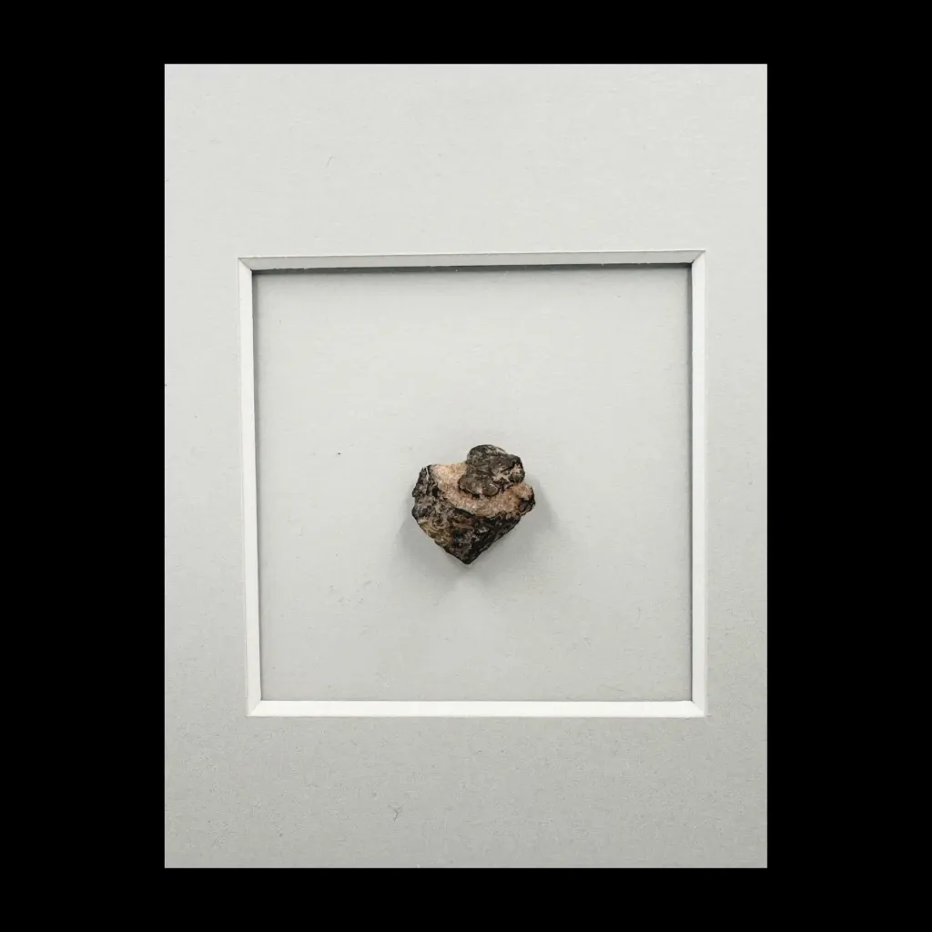 1.447 gr Lunar Meteorite “Bechar 003” – Rare Lunar Masterpiece - preview photo 2123