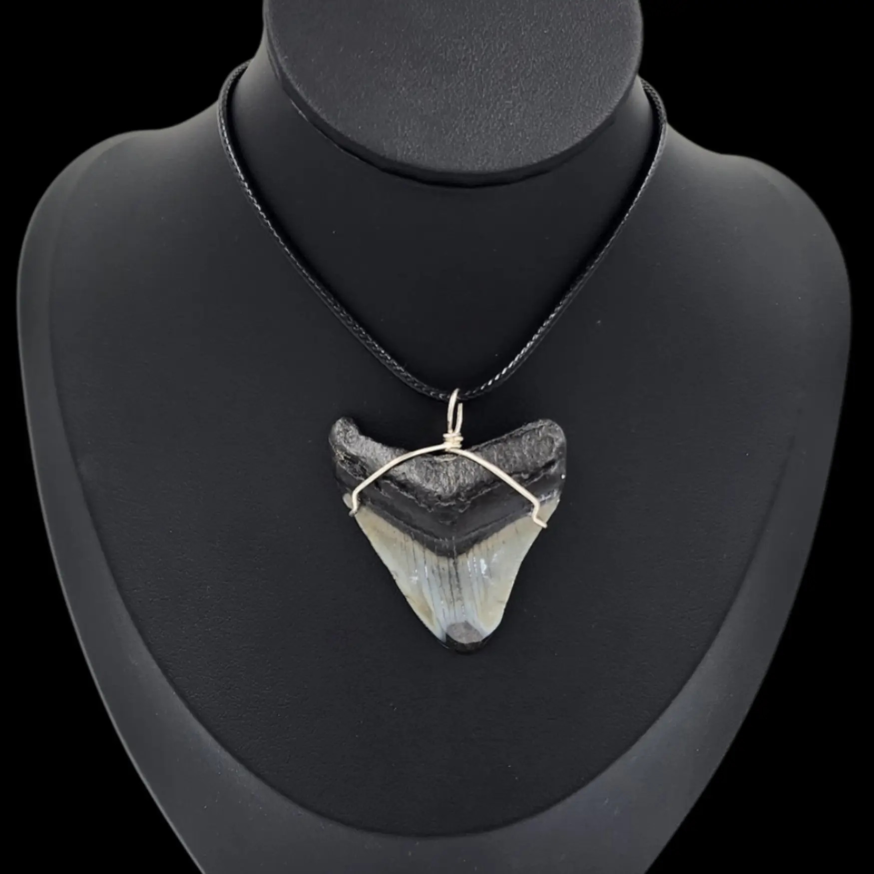 Megalodon Tooth – Pendant, 17.5gr, 4.5cm - preview photo 1123