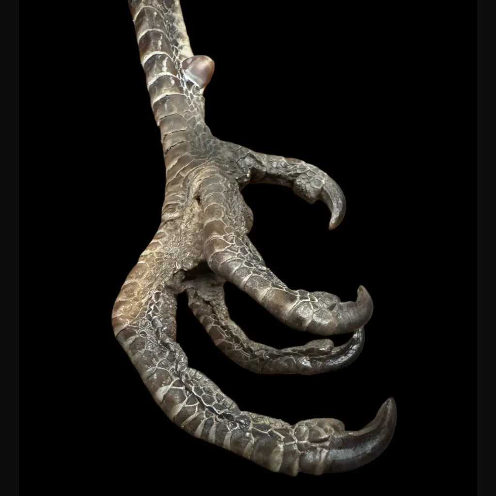 ميدالية مفاتيح «Peacock Paw»: رمز للأناقة والعظمة - صورة معاينة 2123