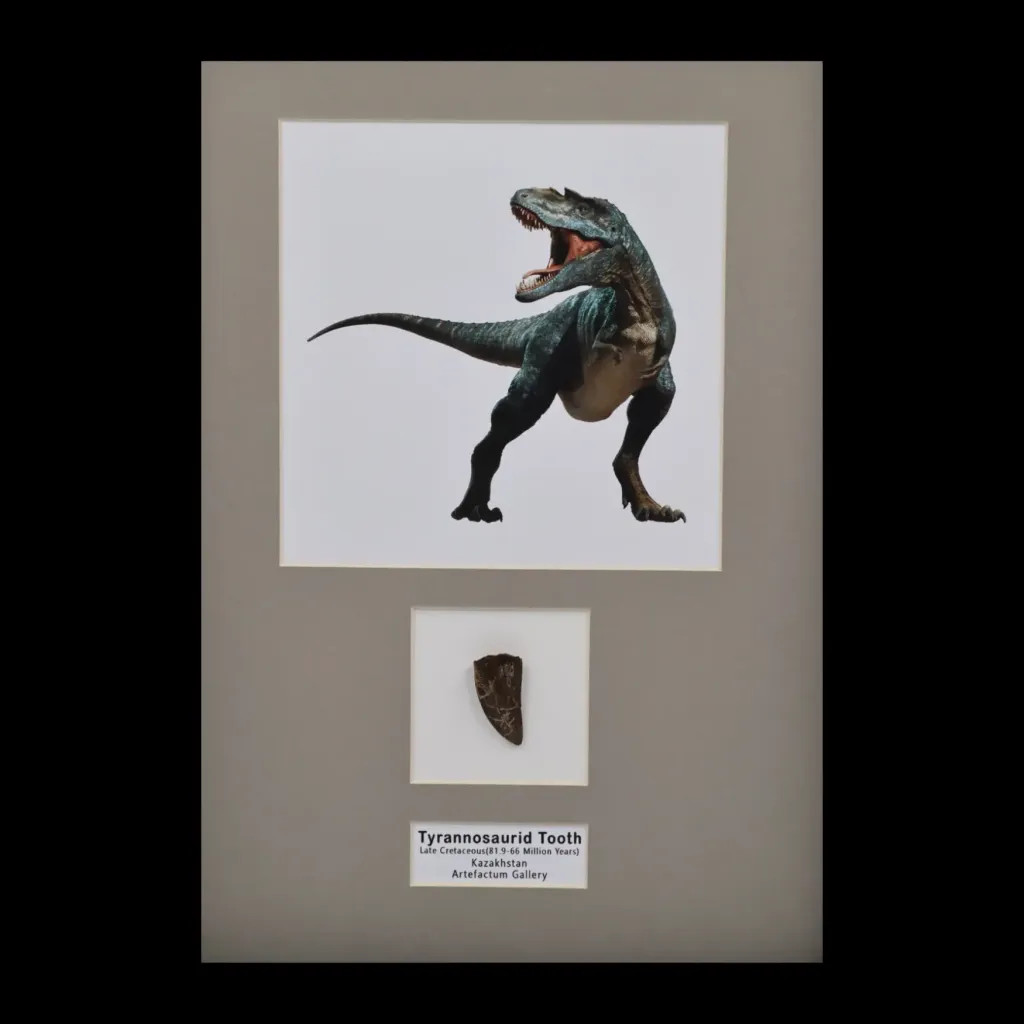 Tyrannosaurus tooth - preview photo 4123