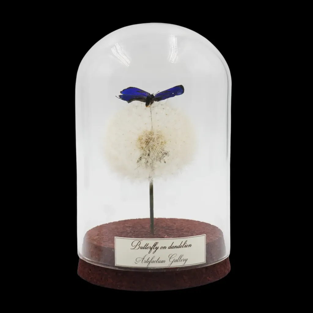 Blue Butterfly on Dandelion in Glass cloche - preview photo 2123