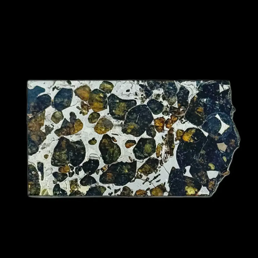 14.84 克橄欖石鐵隕石切片，展示維德曼花紋，40 億年歷史 - 預覽圖片 1123