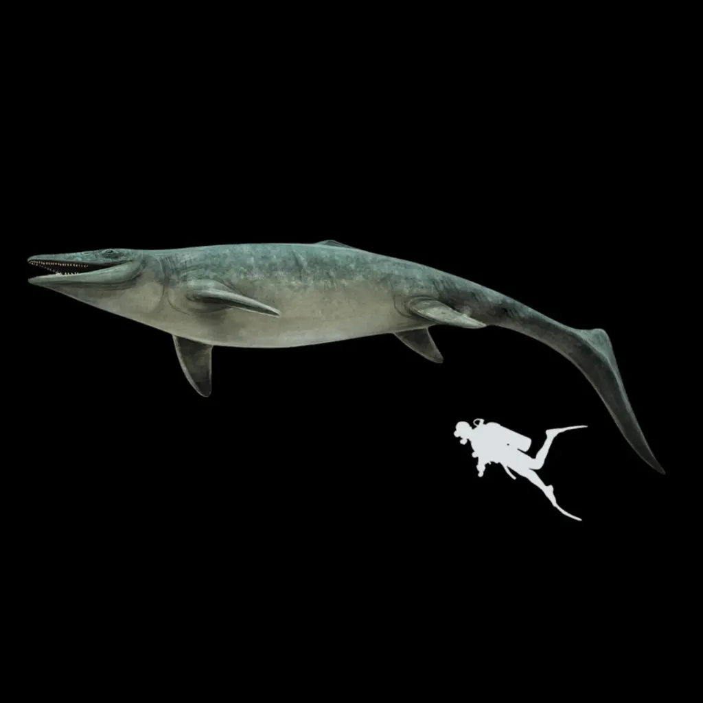 Skull of prehistoric "Sea dragon" (Mosasaur Thalassotitan), 72 mln years old, well preserved - preview photo 5123