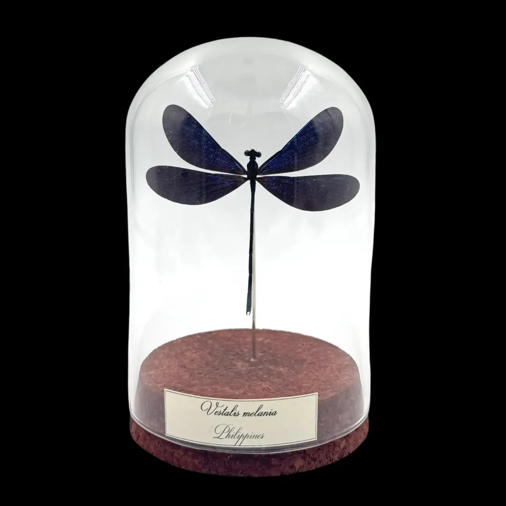 Ethereal Grace: Vestalis Melania, Philippines - preview photo 1123