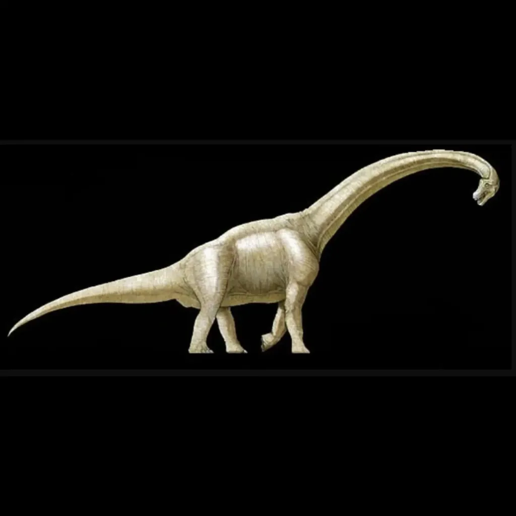 فalanx من جنس Bothriospondylus - صورة معاينة 4123