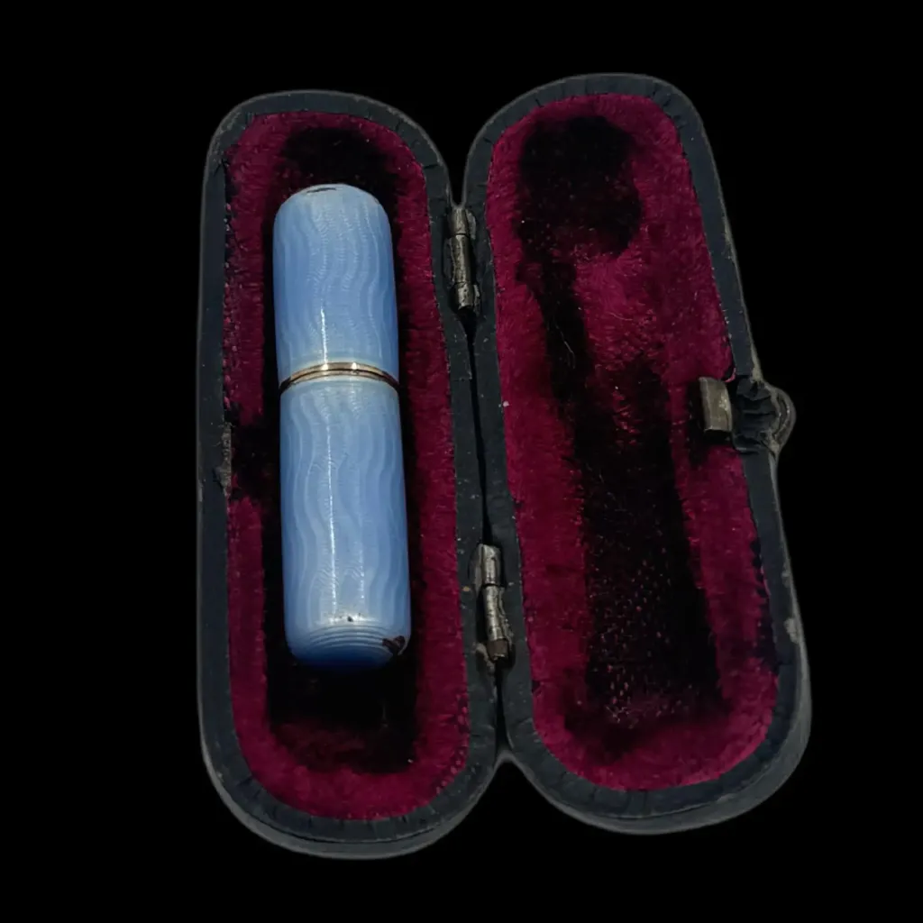 Elegant Preservation: Brass Medicinal Flask with Enamel Design and Velvet-Lined Case - preview photo 2123