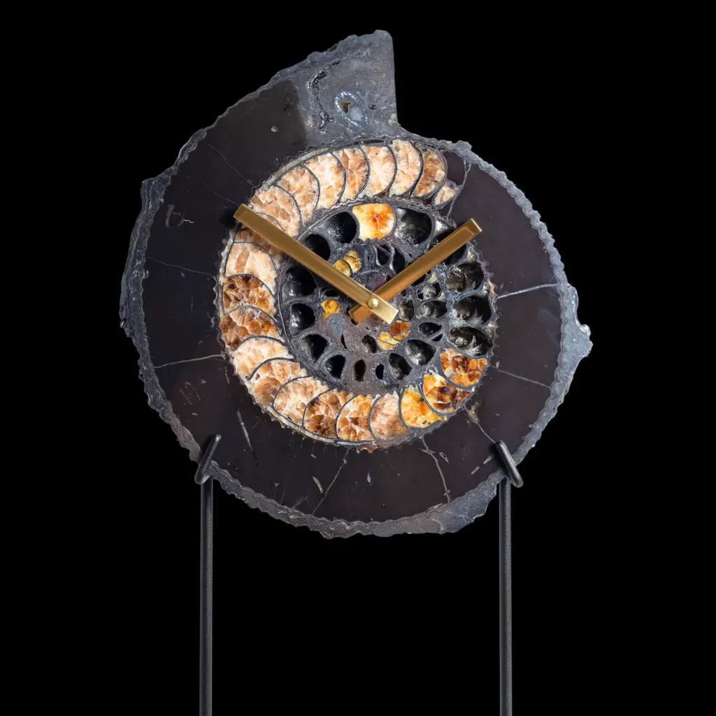 “Timekeeper of Eternity” – Wall Clock with Authentic Ammonite Speetoniceras versicolor - preview photo 3123