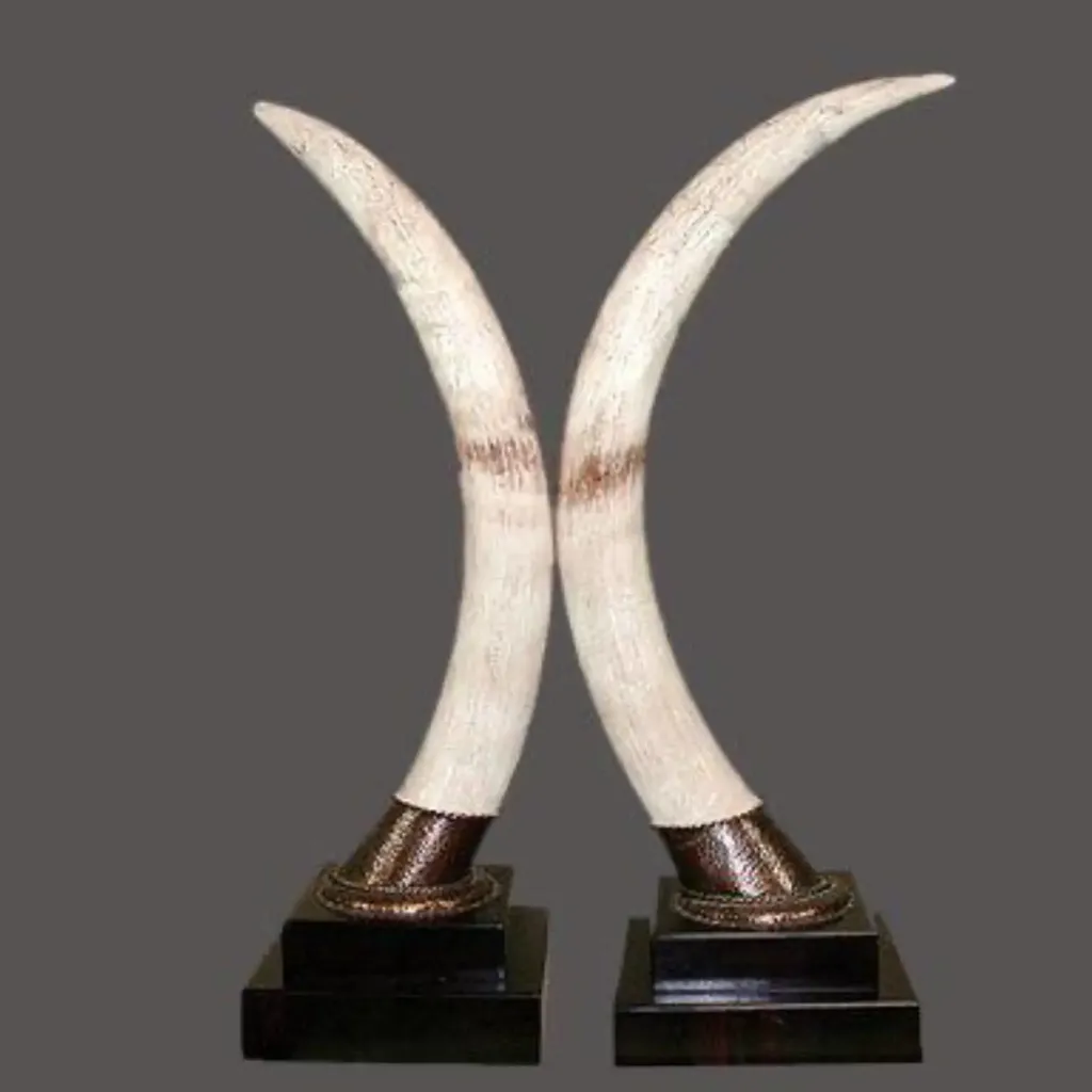 Grand Heritage: Exquisite African Elephant Tusks - preview photo 2123