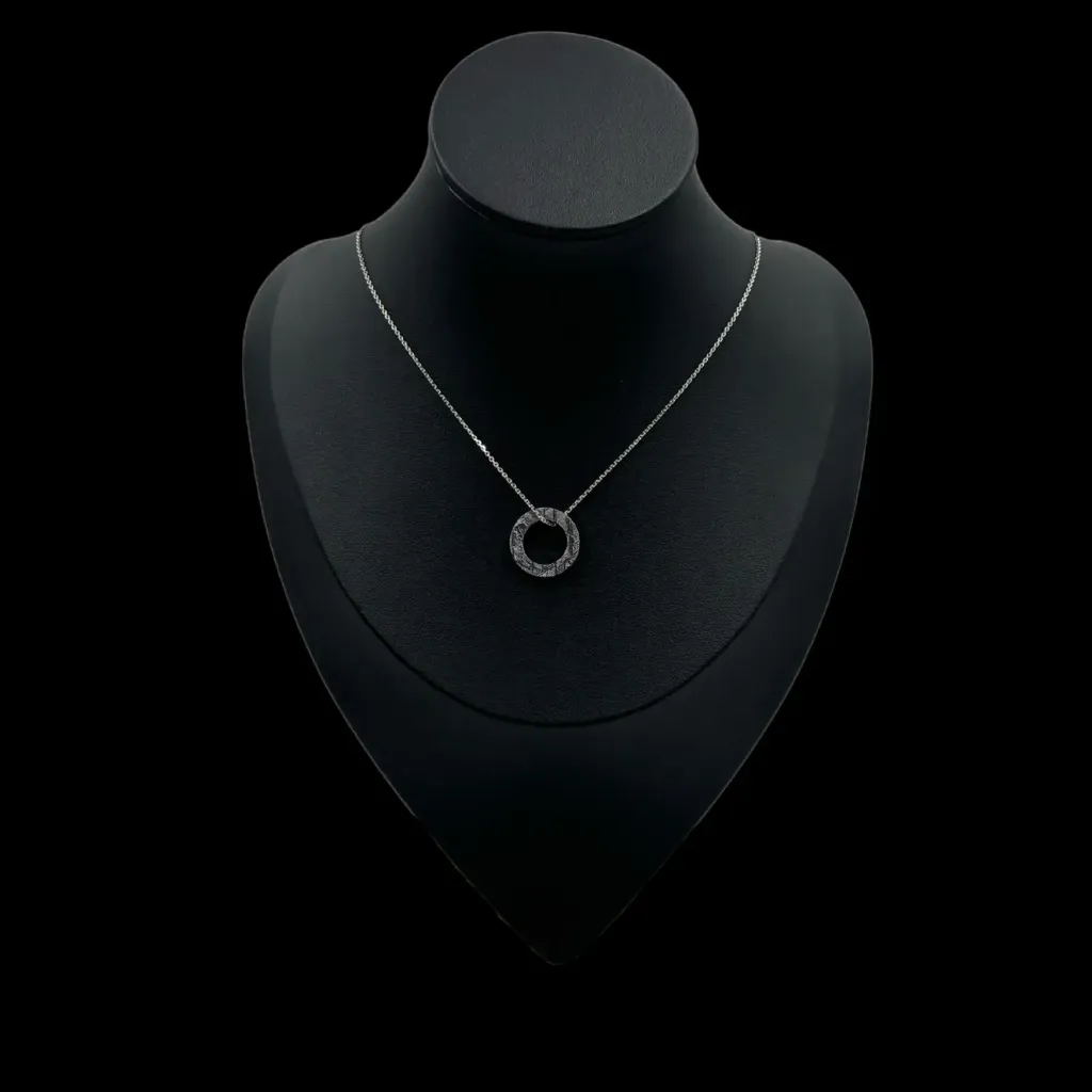 Eternal Circle: Round Muonionalusta Meteorite Necklace - preview photo 2123