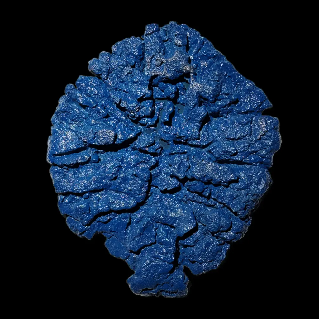 藍色猛獁足印——冰河時代遺產與現代藝術的融合 - 預覽圖片 2123