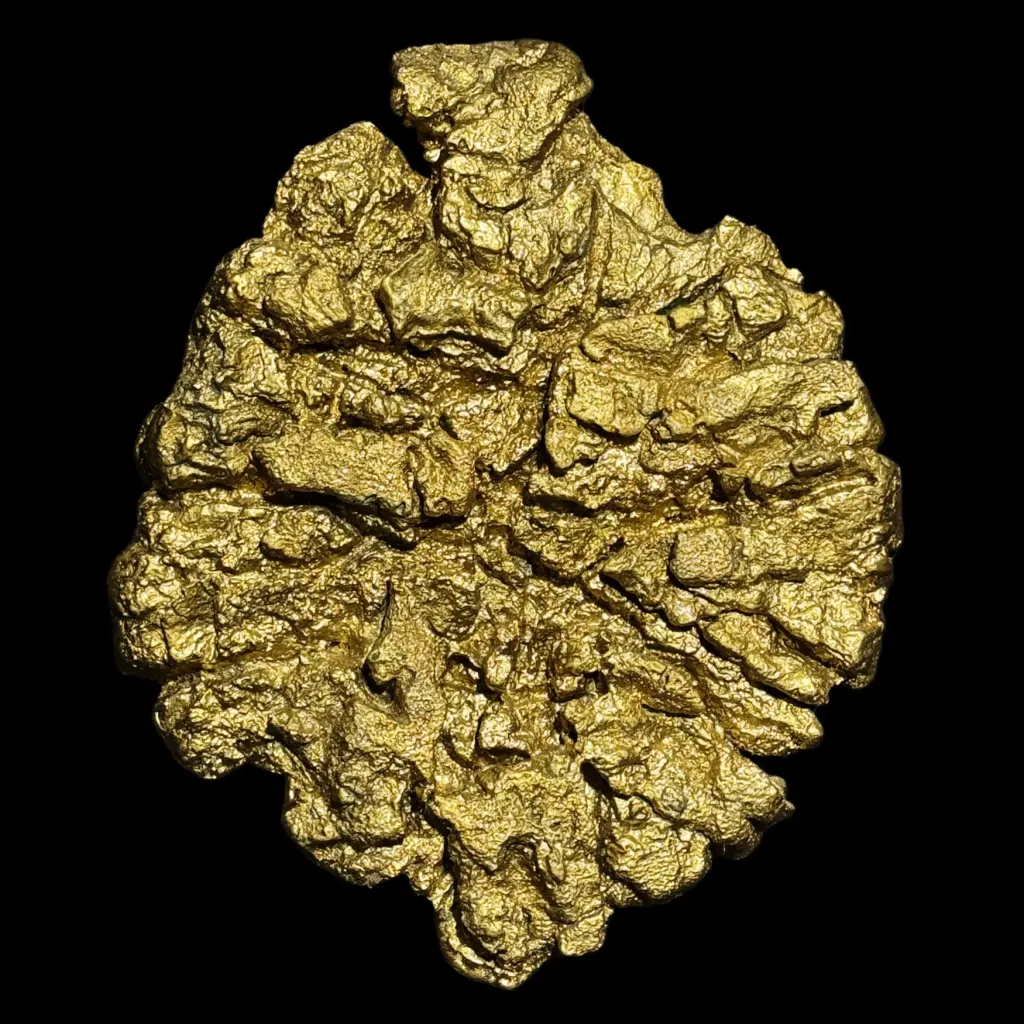 Golden Mammoth  Foot Print – Echo of the Ice Age - preview photo 2123