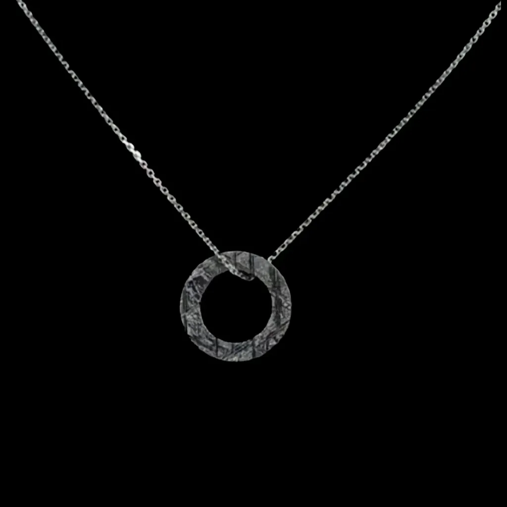 Eternal Circle: Round Muonionalusta Meteorite Necklace - preview photo 1123