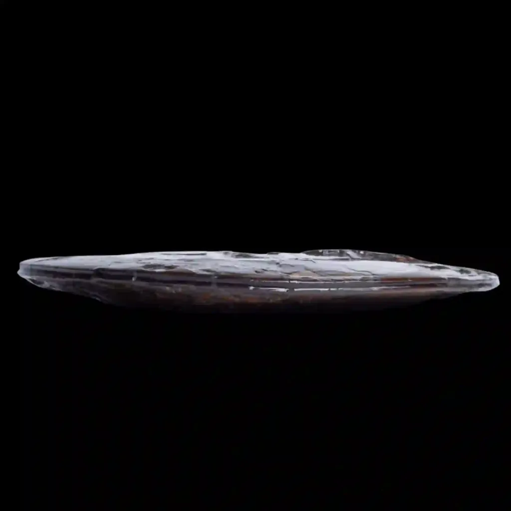 Ammonite with Ammolite Layer – Monument from the Dawn of the Mesozoic 25 cm, Double-Sided - preview photo 3123