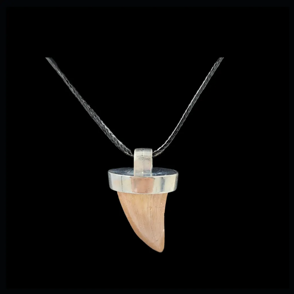 Mosasaur Tooth – 6.2 gr, Height 2.1 cm x 1.6 cm - preview photo 2123