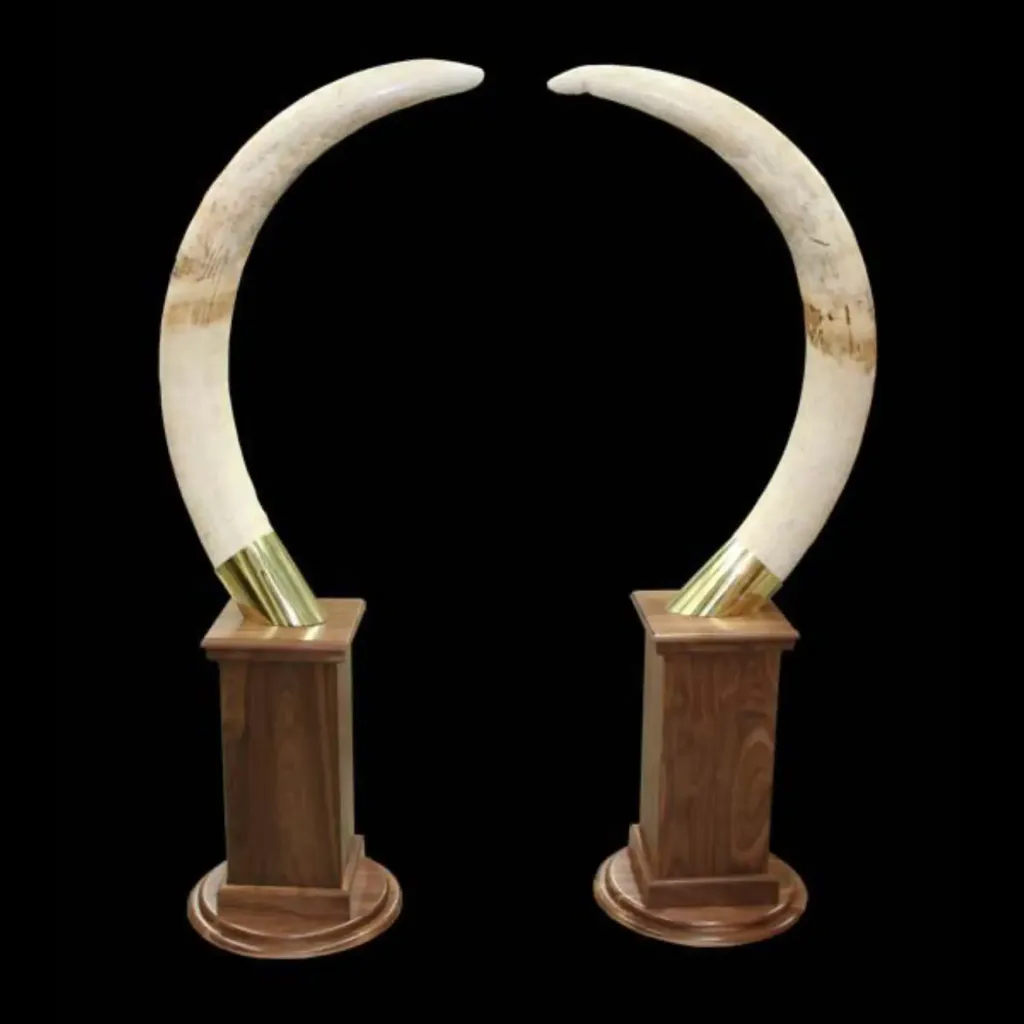 Grand Heritage: Exquisite African Elephant Tusks - preview photo 1123