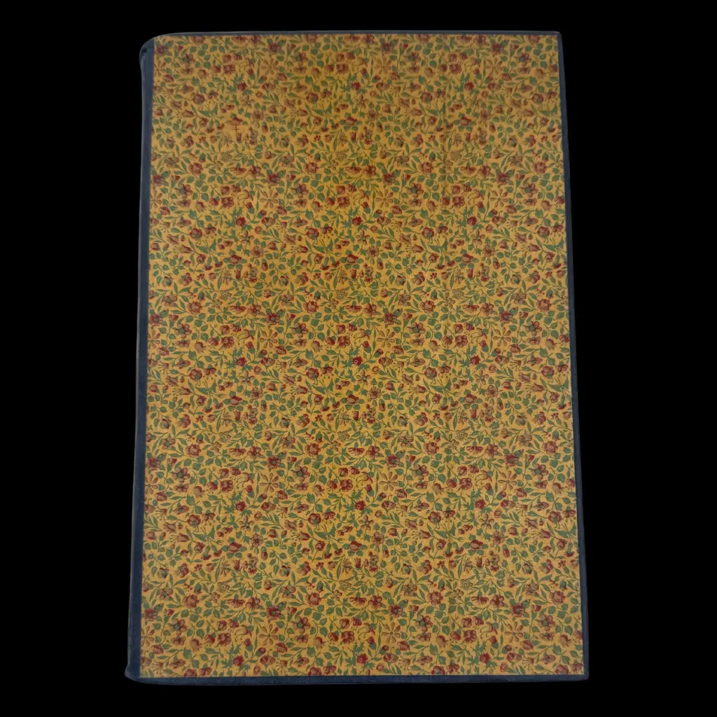 給年輕主婦的禮物——E. 莫洛霍韋茨編著的終極烹飪指南，1913 年 - 預覽圖片 3123