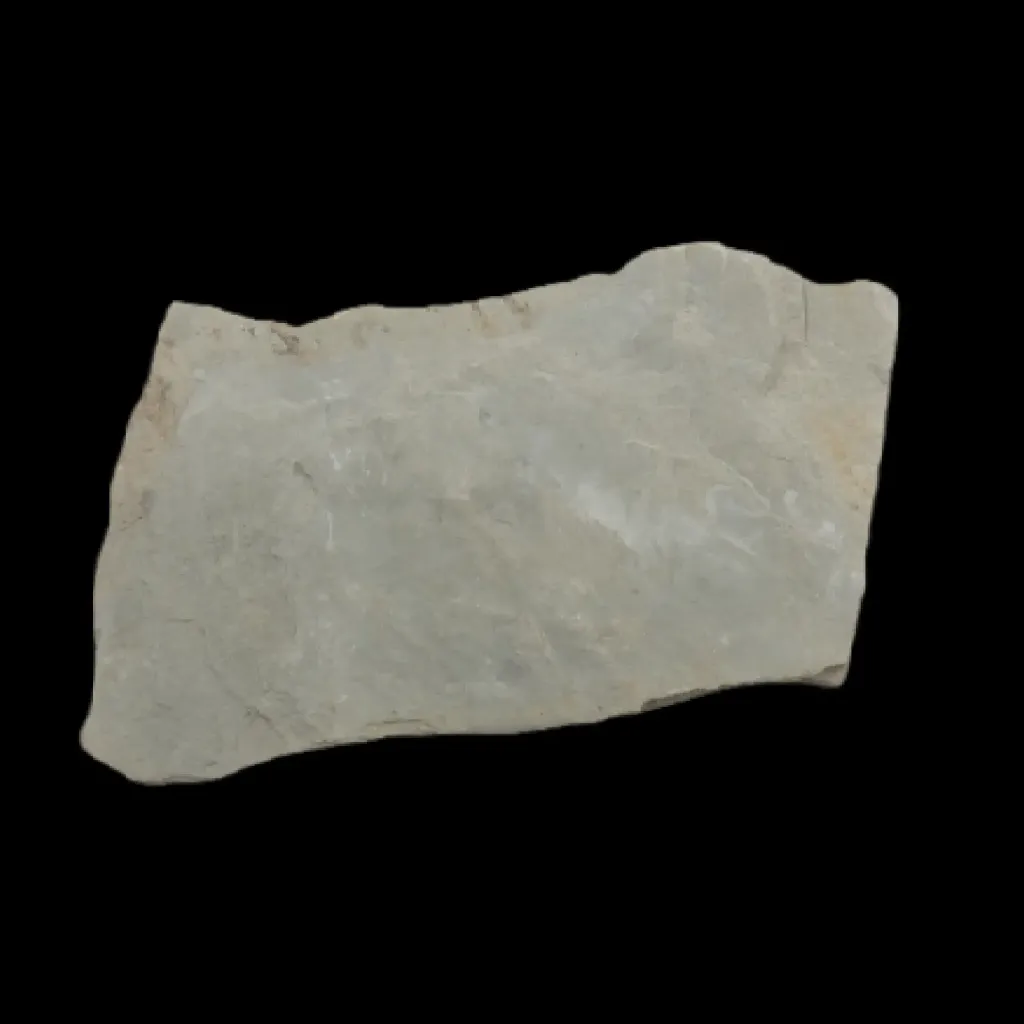First of the Complex - Fossil Fragment of Dickinsonia from the Ediacaran Era - preview photo 2123