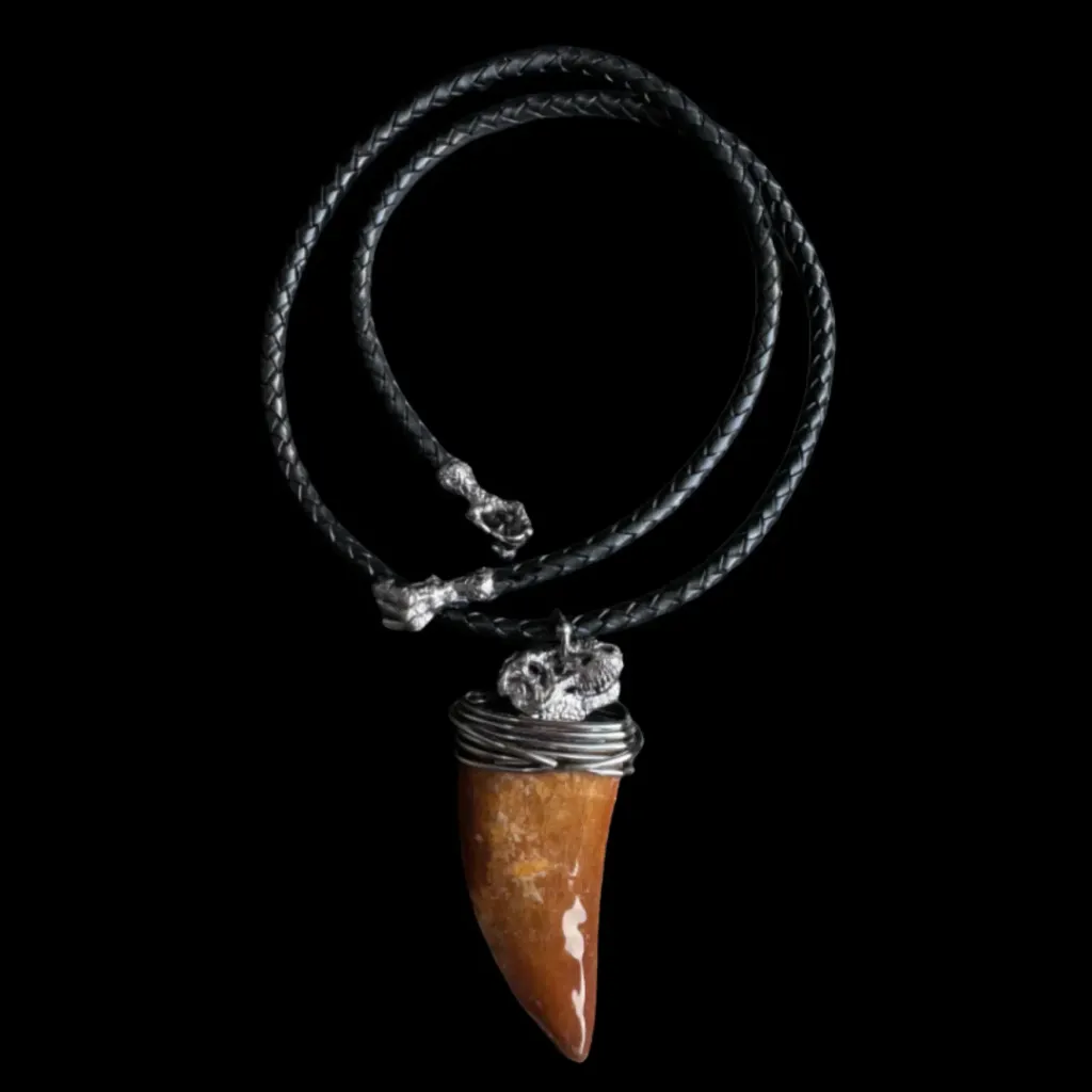 Silver pendant with Carcharodontosaurus tooth (Cretaceous) - preview photo 1123