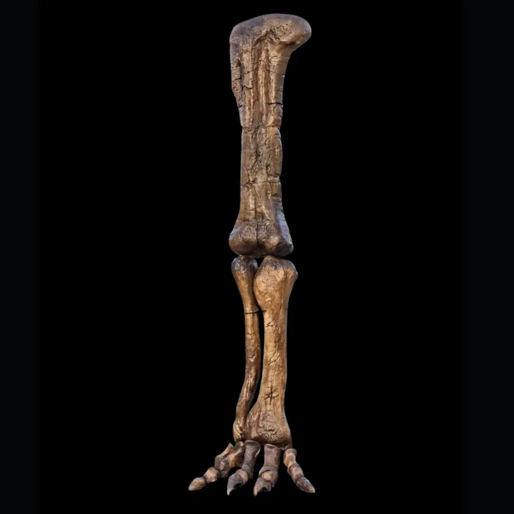 Cast of Camarasaurus Leg, 3D printed - preview photo 1123