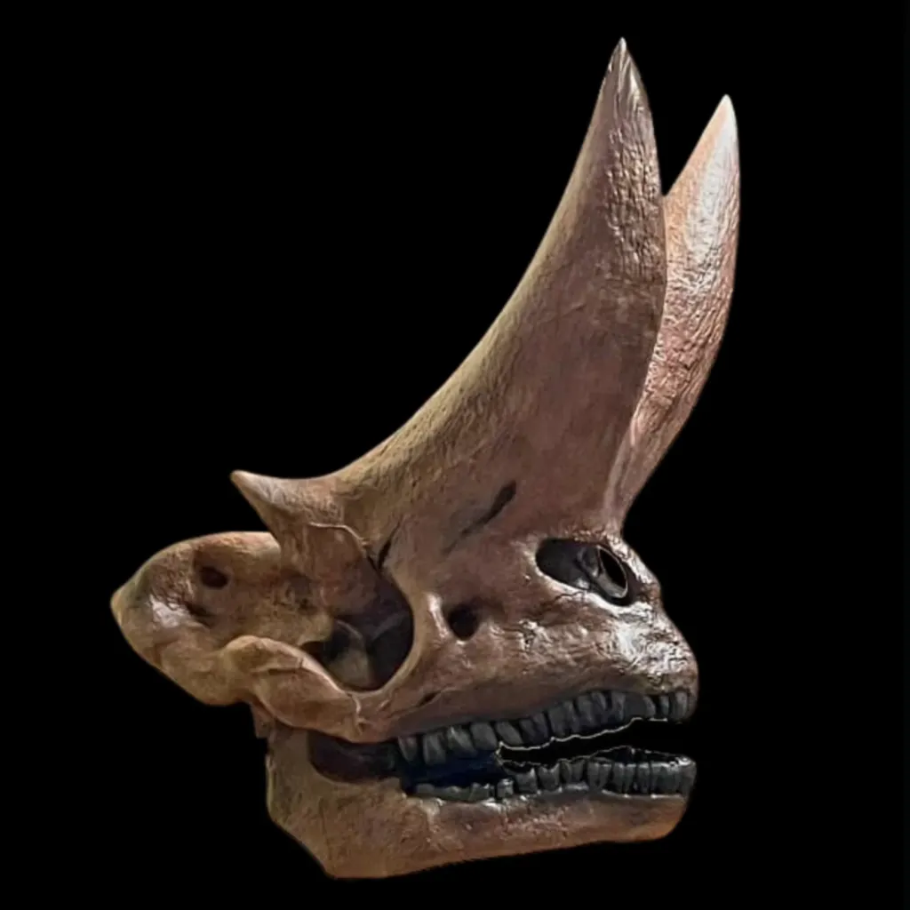 Arsinoitherium 頭骨複製品，3D 打印
