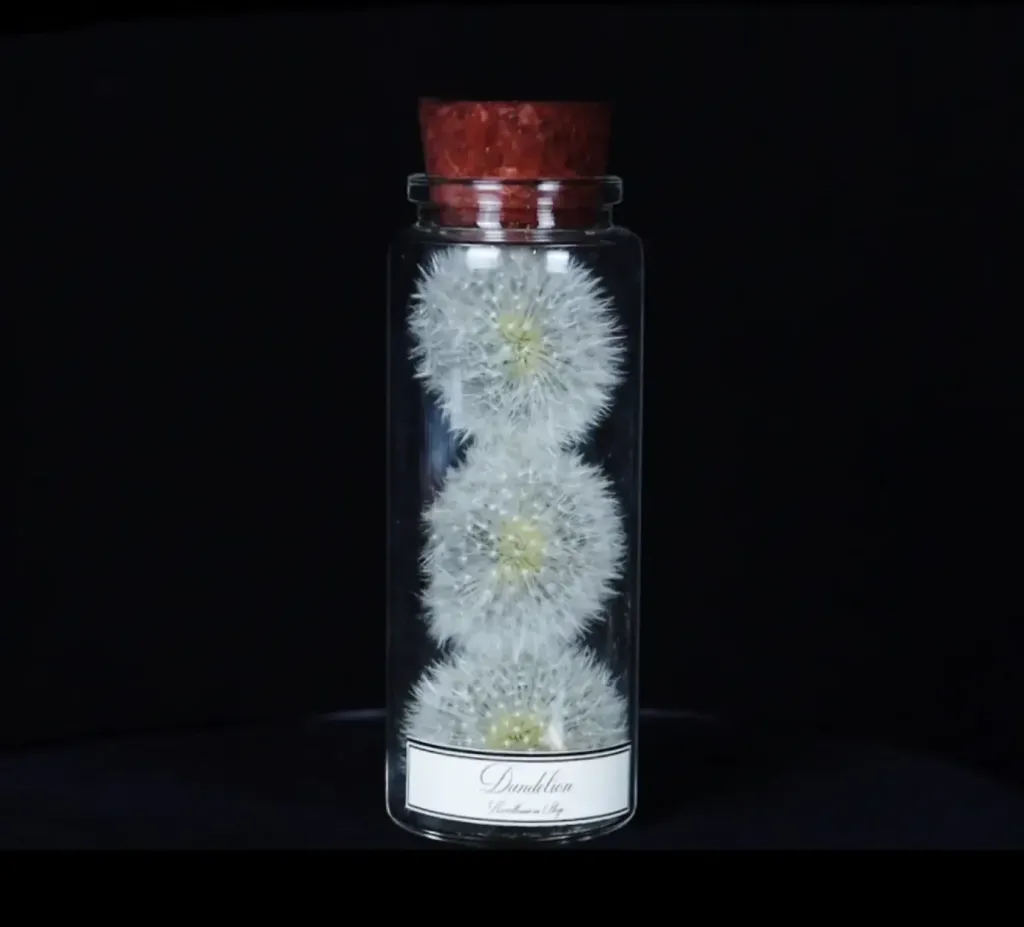 Exquisitely Preserved Dandelion in a Glass Bottle – A Rare Miniature Masterpiece - preview photo 1123