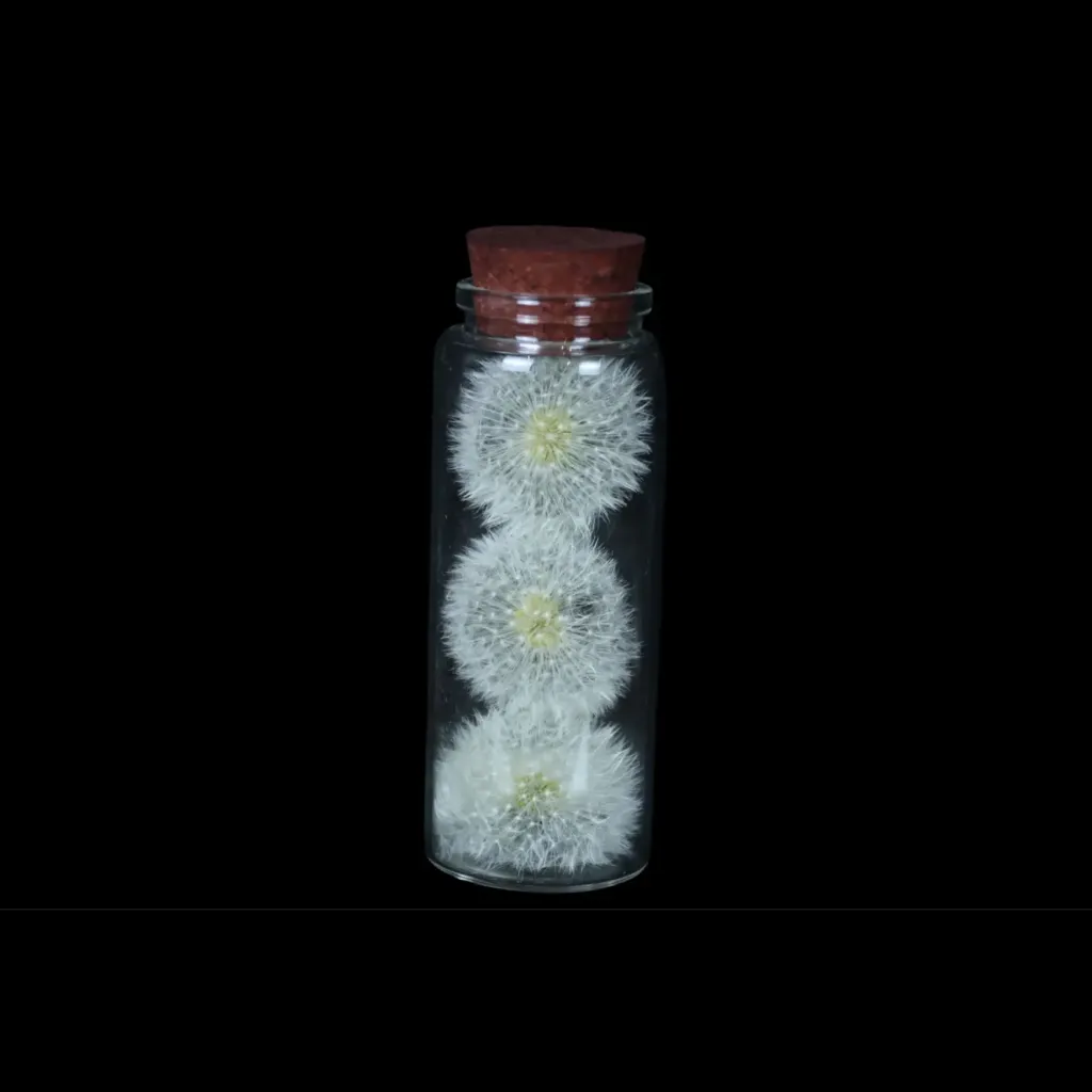 Exquisitely Preserved Dandelion in a Glass Bottle – A Rare Miniature Masterpiece - preview photo 2123