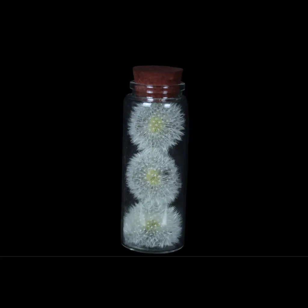 Exquisitely Preserved Dandelion in a Glass Bottle – A Rare Miniature Masterpiece - preview photo 3123