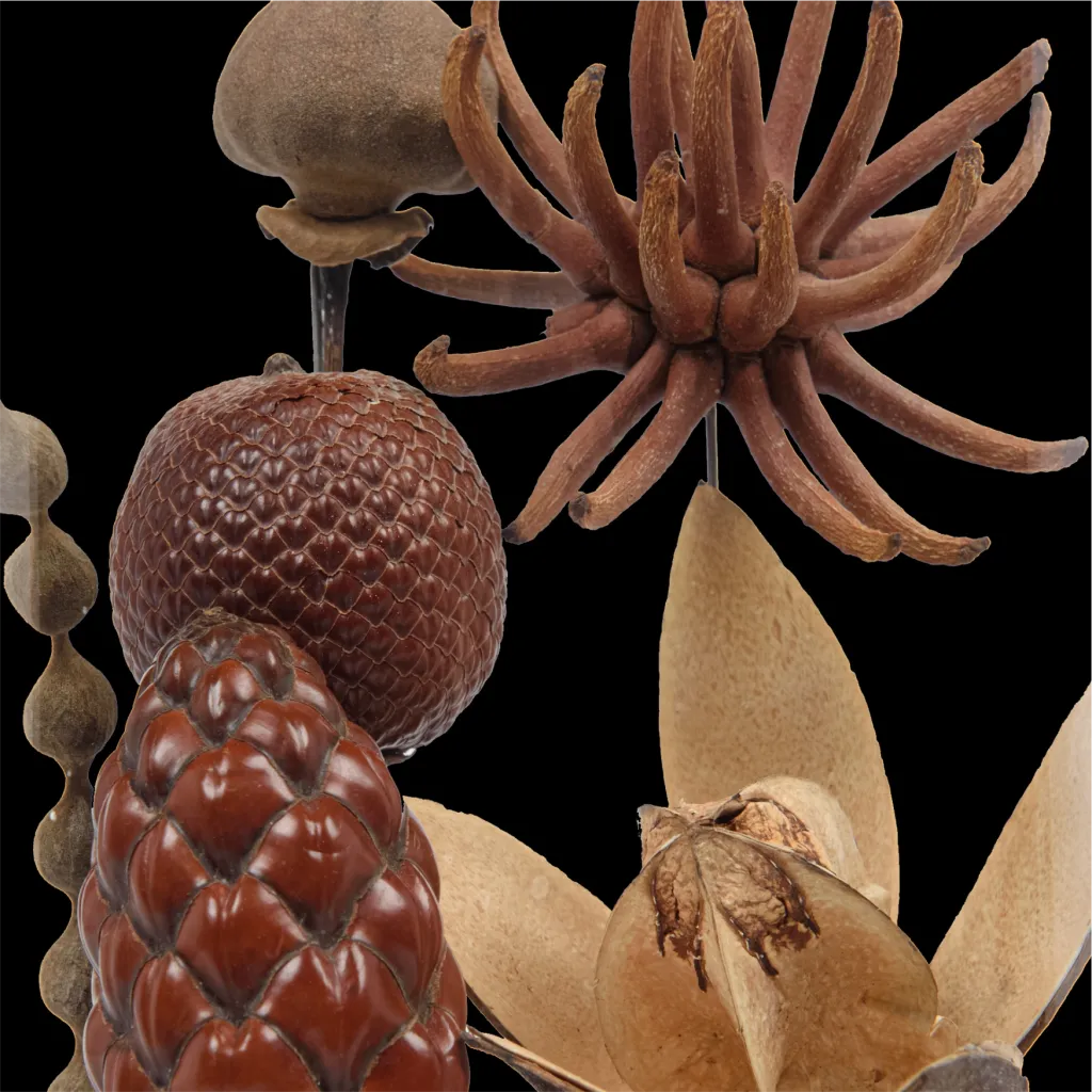 Tropical fruits and seeds in glass cloche - preview photo 2123