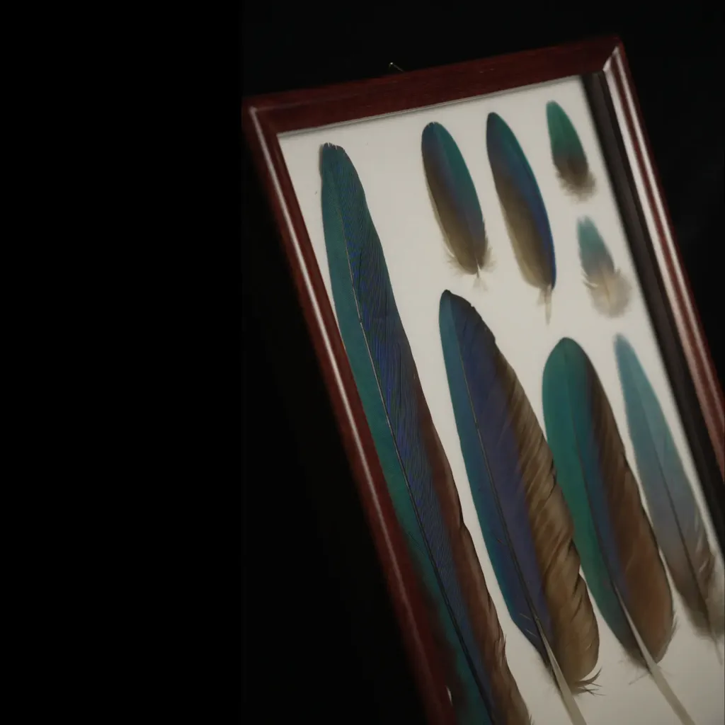 ريش رائع من الببغاء الزنبق الرمادي-الأزرق داخل إطار - صورة معاينة 5123
