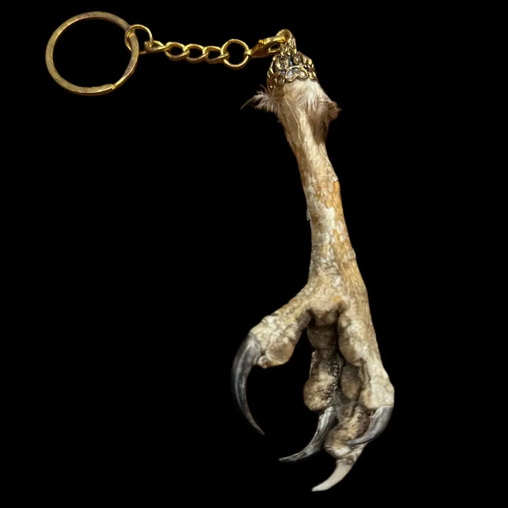 Fierce Elegance: Bird of Prey Paw Keychain – A Unique Touch of the Wild - preview photo 1123