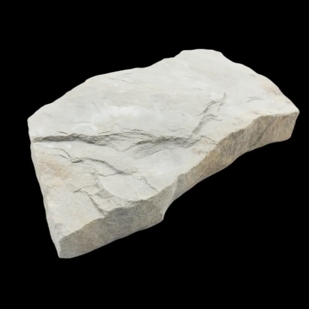 First of the Complex - Fossil Fragment of Dickinsonia from the Ediacaran Era - preview photo 3123
