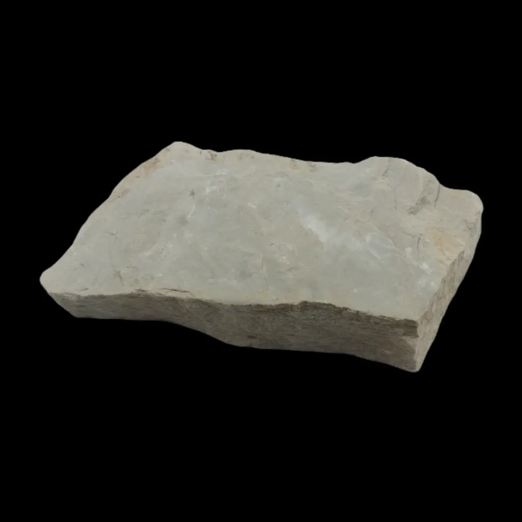 First of the Complex - Fossil Fragment of Dickinsonia from the Ediacaran Era - preview photo 4123