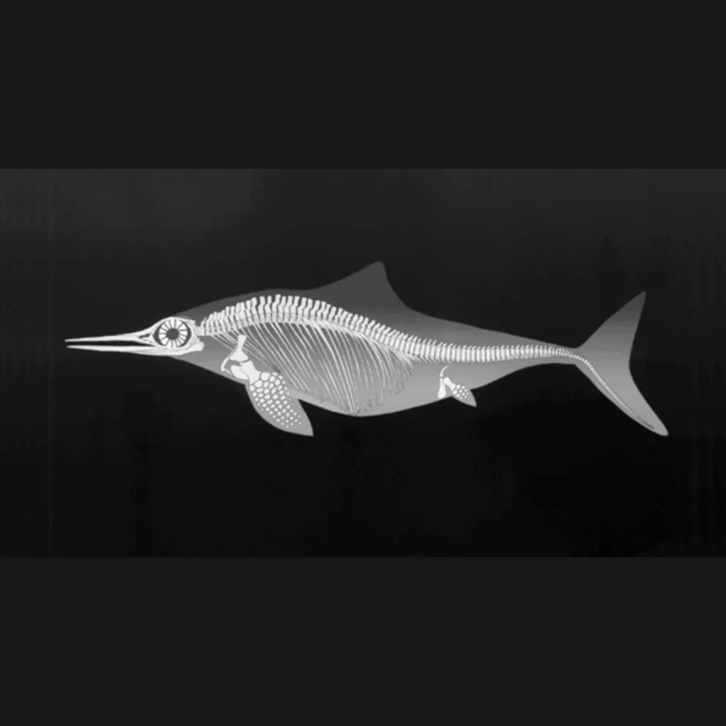 Skeleton of marine predator (Ichthyosaur), circa 178 mln years old, Germany, well preserved - preview photo 5123