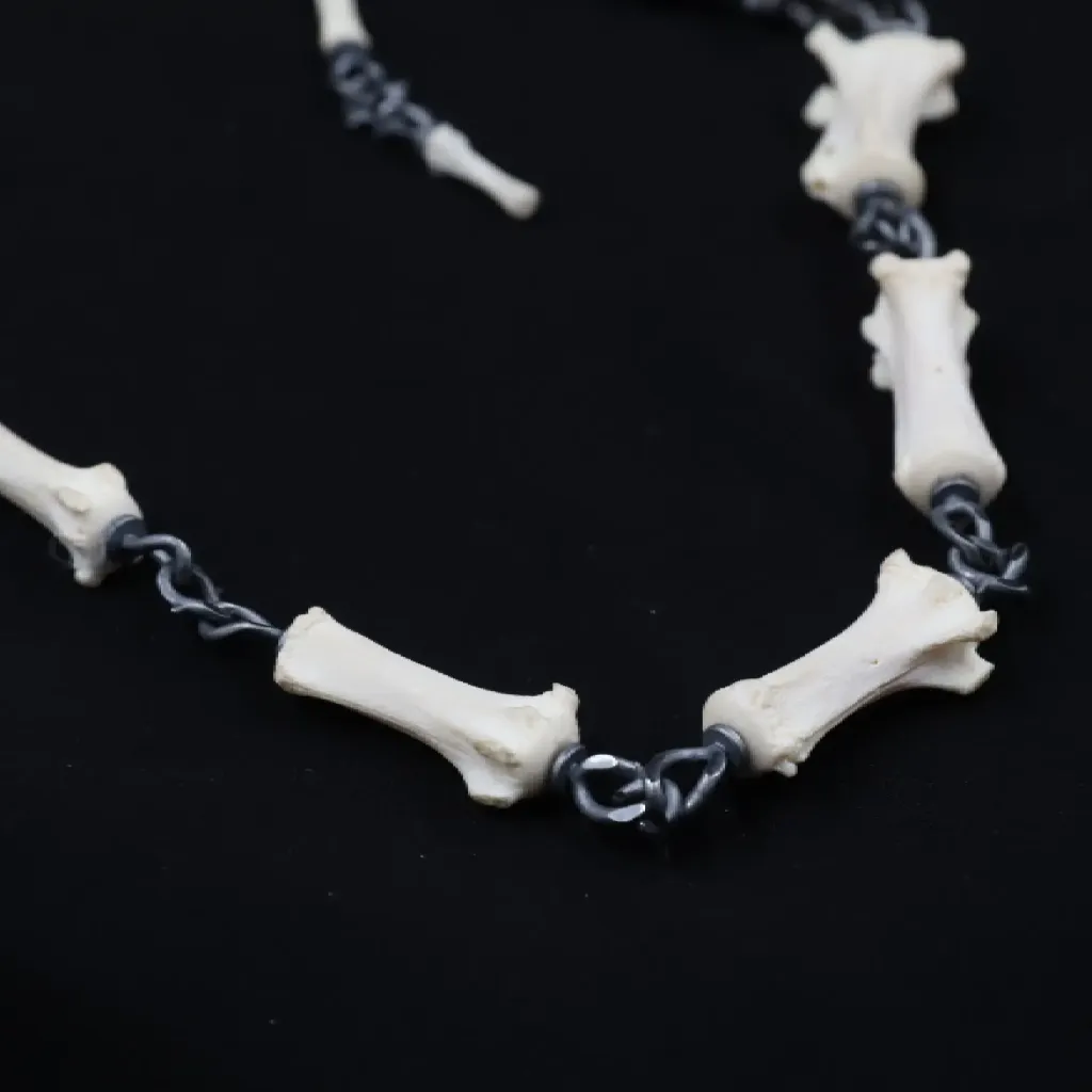Lupine Gaze: Modern Silver and Wolf Tail Bone Brooch with Black Diamond Eyes - preview photo 2123
