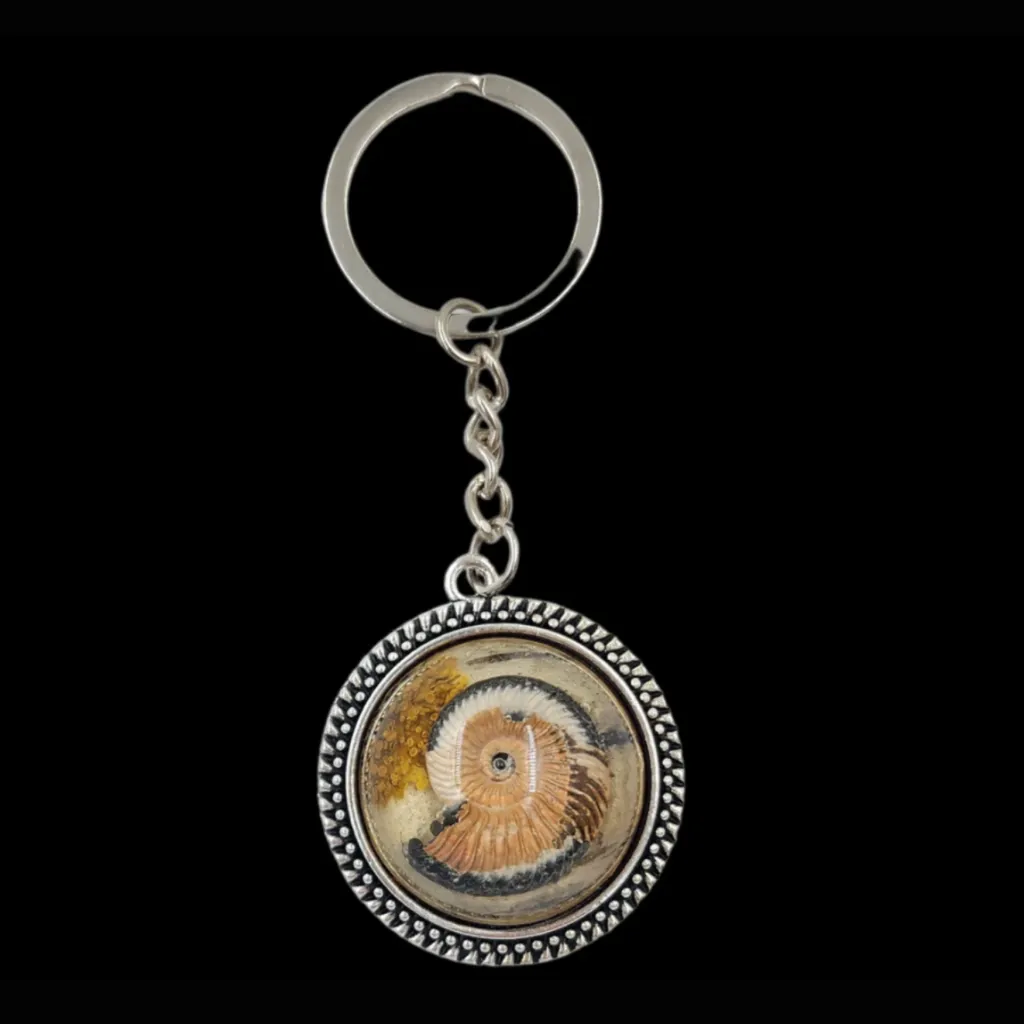 Keychain Featuring  Ammonite Fossil - preview photo 1123