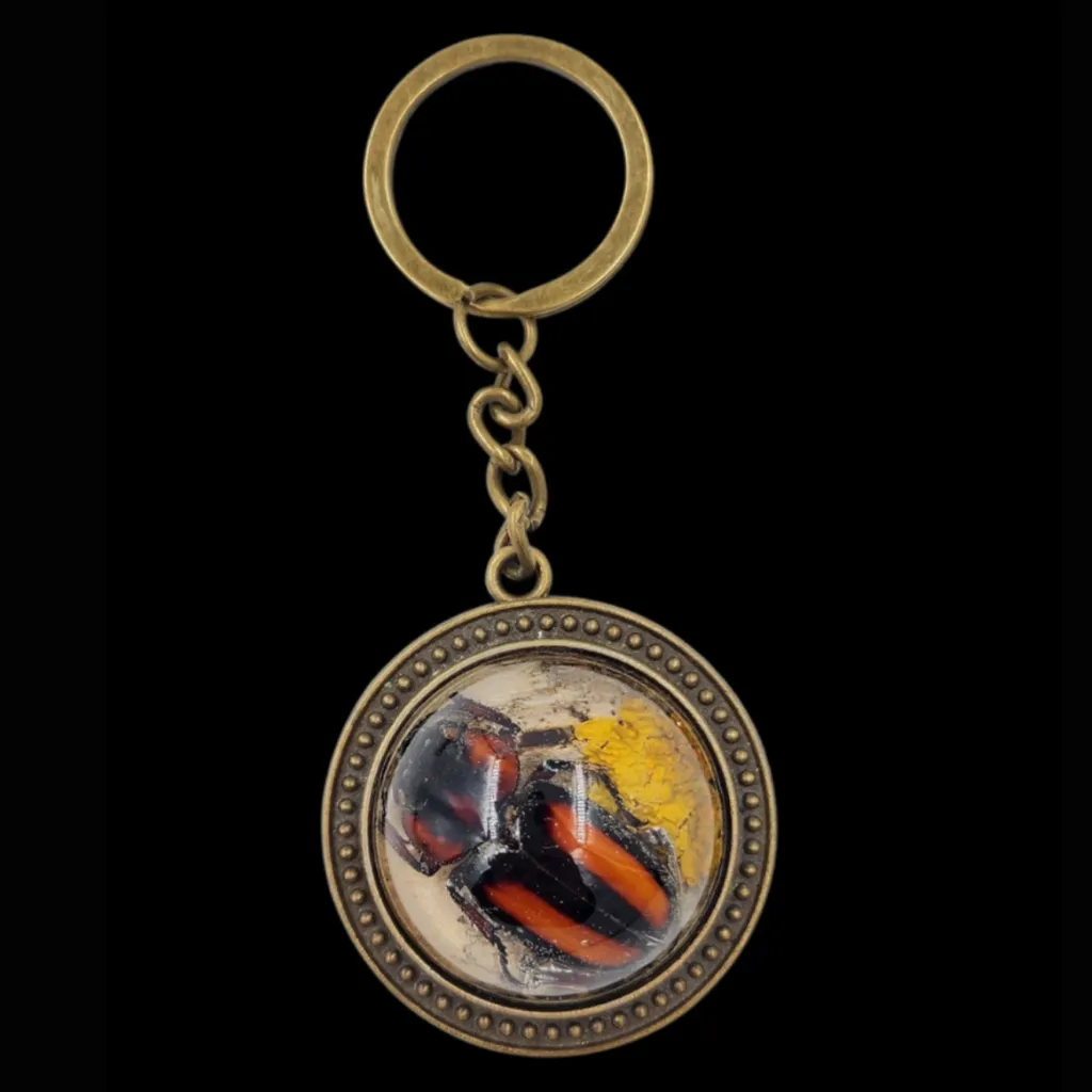 Keychain Featuring a Real Red-and-Black Flower Beetle - preview photo 1123