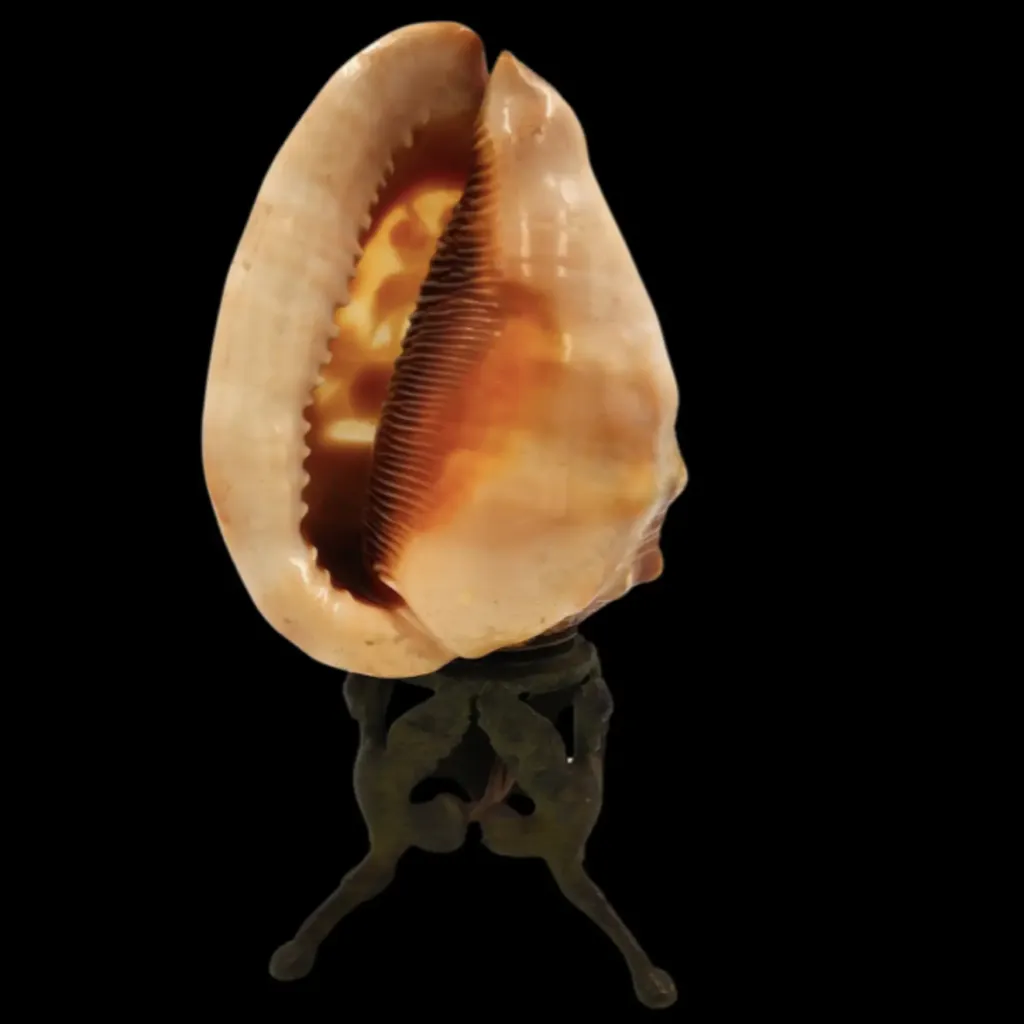 Sacral Shell Lamp with Marian Relief - preview photo 2123