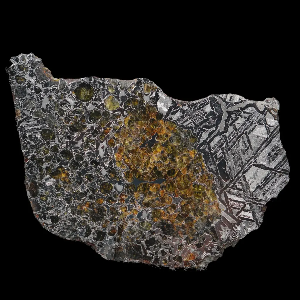 263 克大型橄欖石鐵隕石切片，帶晶體維德曼花紋，40 億年歷史