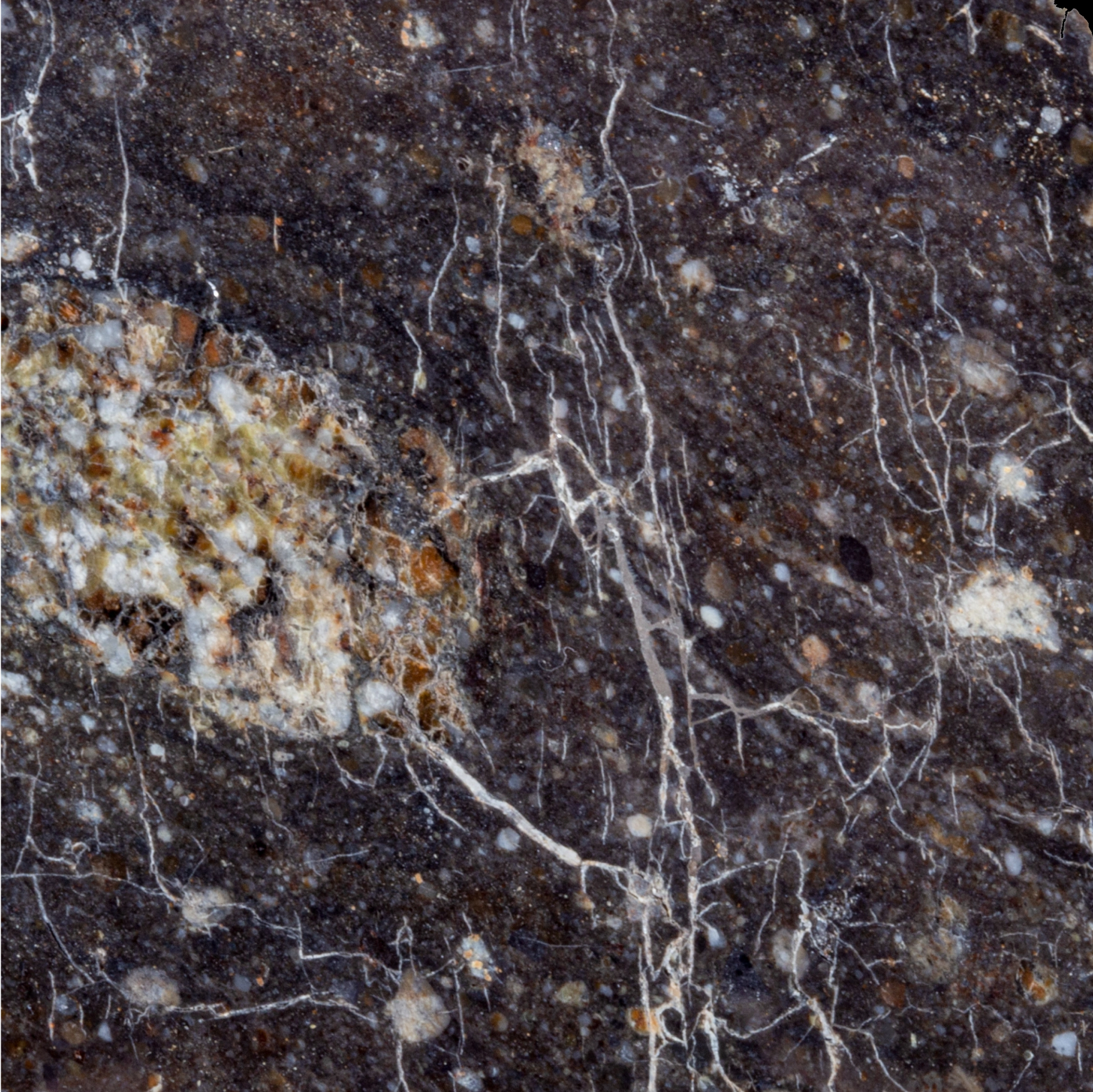 Celestial Rarity: NWA 11524 Lunar Meteorite Fragment, approx. 4 billion years old, South Africa - preview photo 3123