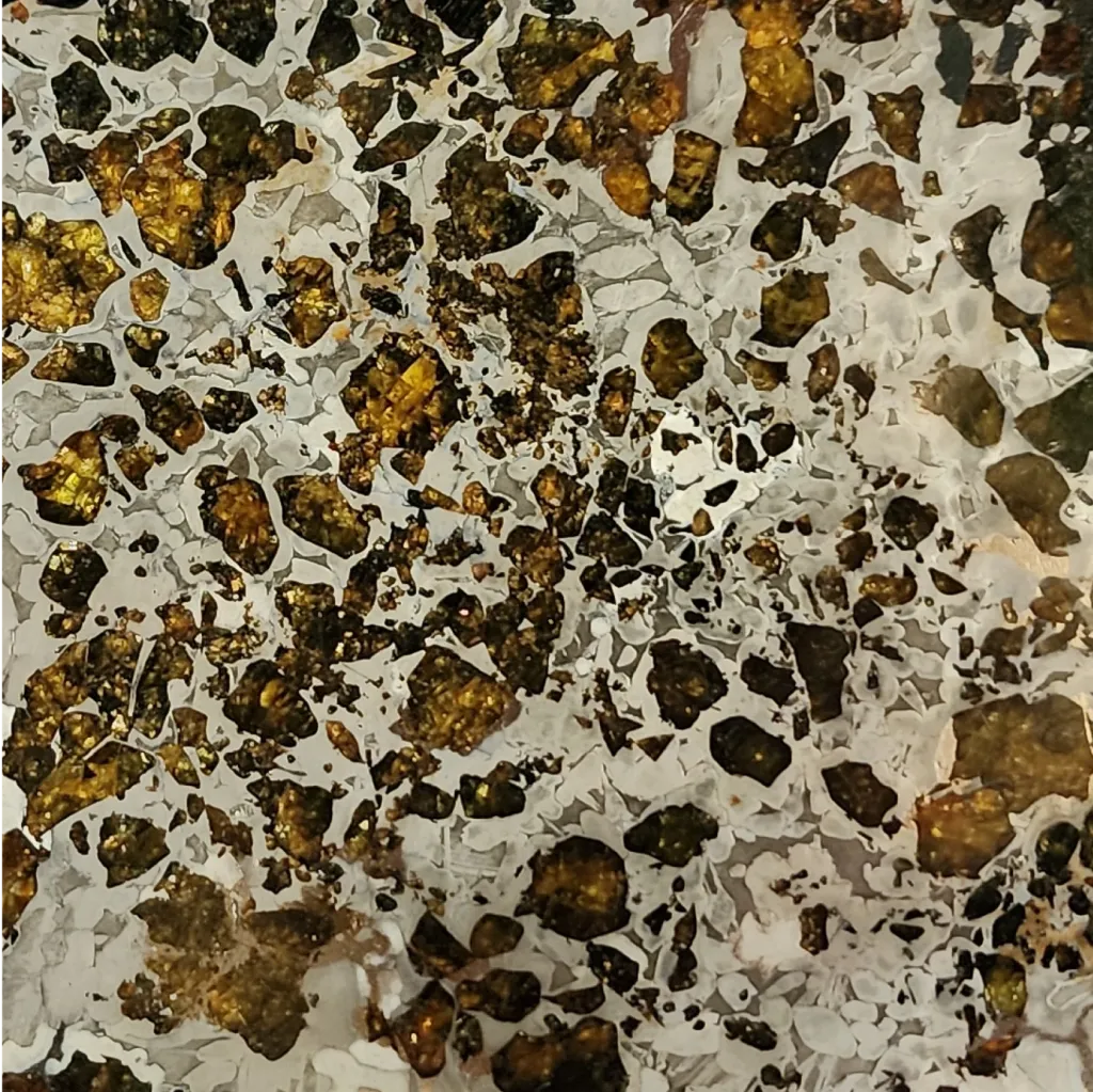 262 g Substantial Pallasite meteorite slice with crystalline Widmanstätten pattern, 4 bln years old - preview photo 2123