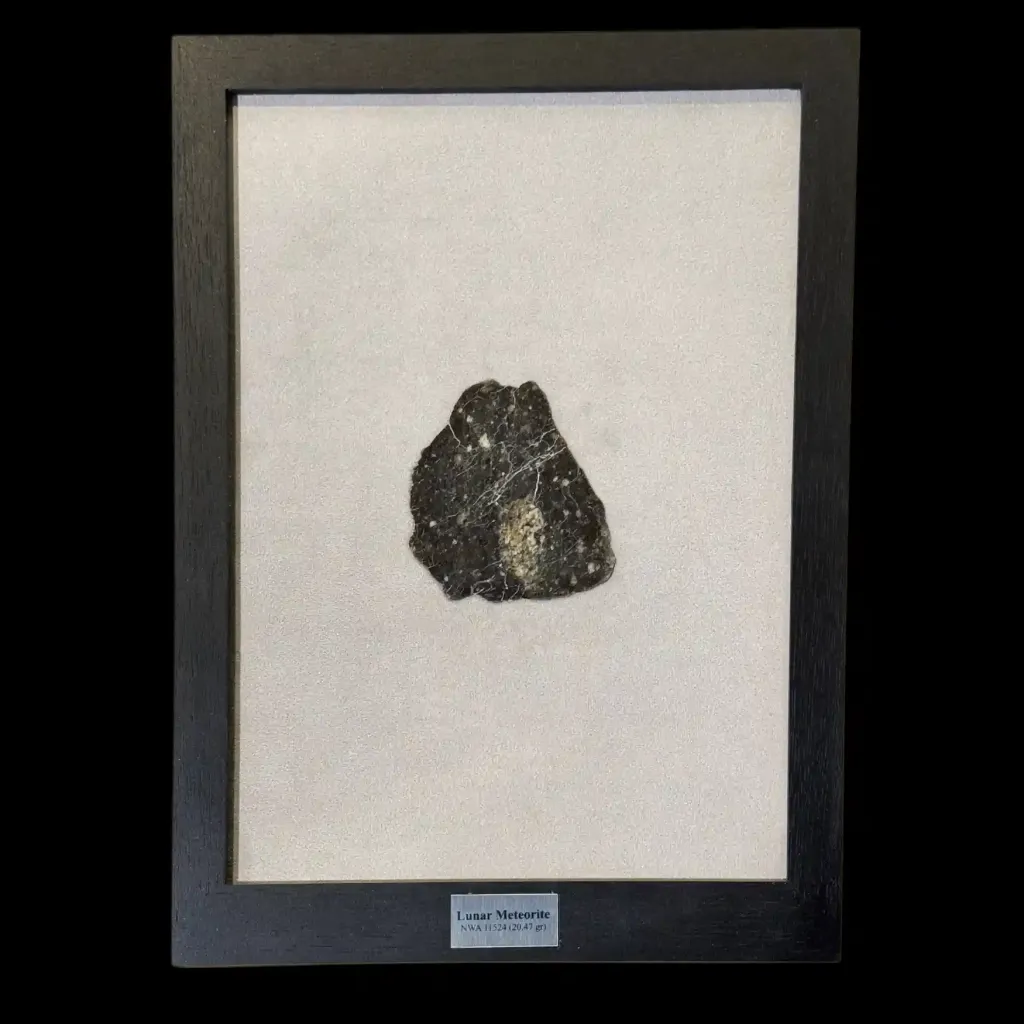 Celestial Rarity: NWA 11524 Lunar Meteorite Fragment, approx. 4 billion years old, South Africa - preview photo 1123