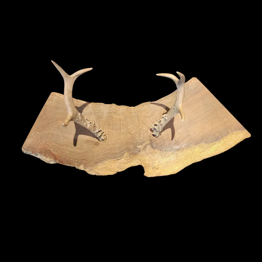 Japanese Keyaki Live - Edge Stand with Deer Antlers - preview photo 2123