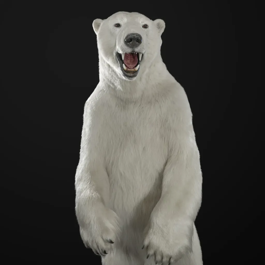 Imposing Polar Bear Mount from the Canadian Arctic