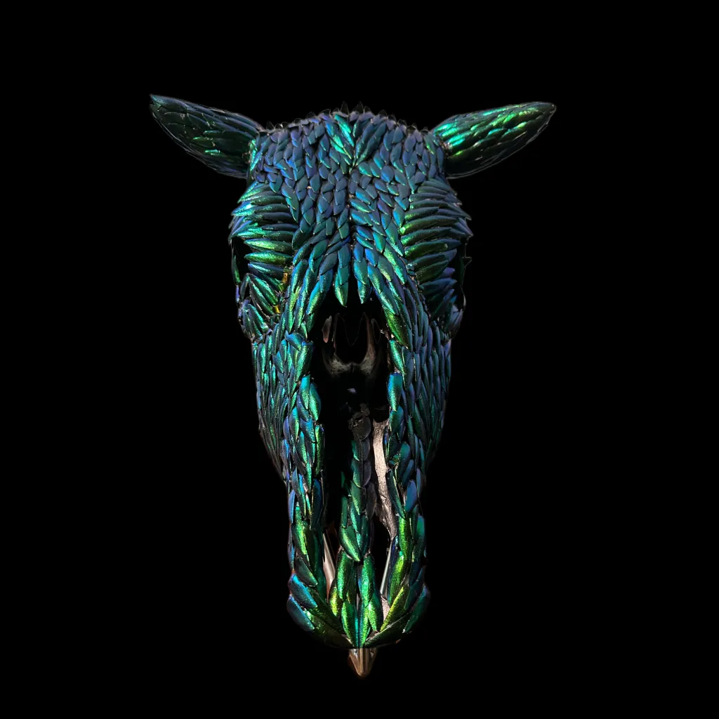 Nature's Mosaic: Iridescent Beetle Wing  (Buprestidae), Thailand Adorned Cow Skull - preview photo 3123