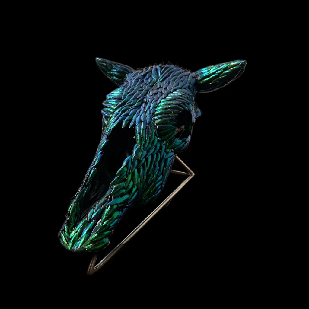 Nature's Mosaic: Iridescent Beetle Wing  (Buprestidae), Thailand Adorned Cow Skull - preview photo 1123