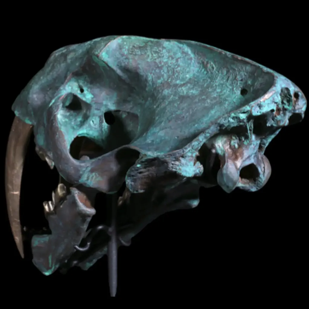 Bronze sculpture of the saber-toothed cat - preview photo 3123