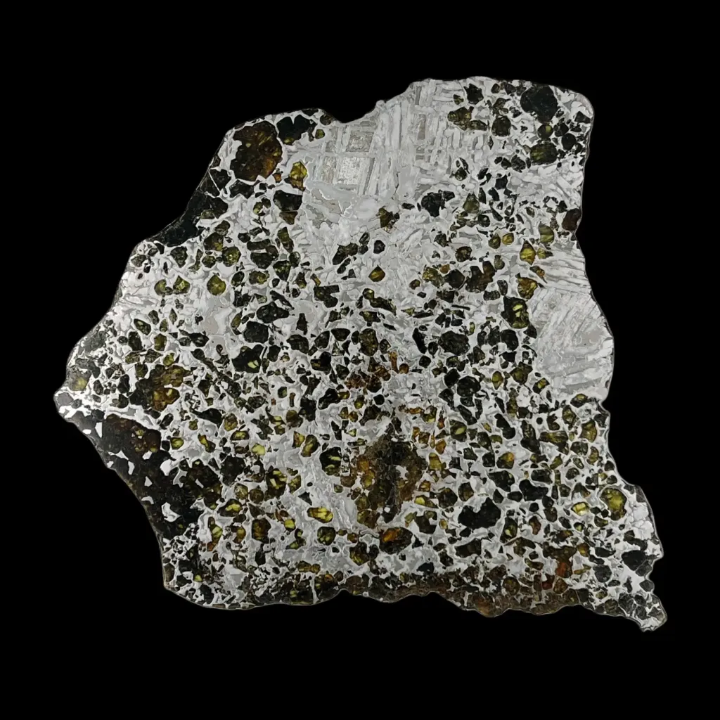 415 g Pallasite meteorite full section, massive metallic specimen with natural edges - preview photo 1123