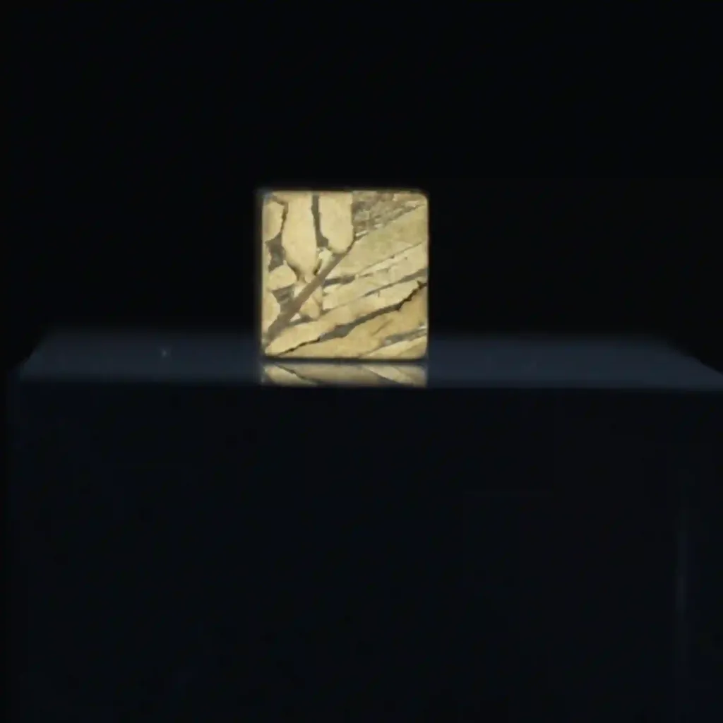 Pallasite Meteorite with 24K Gold Gilding, billion years old - preview photo 3123