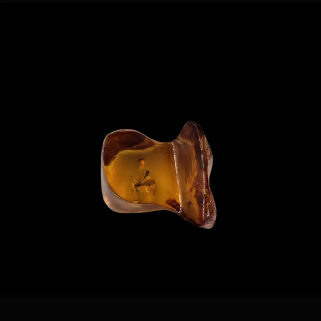 Piece of Amber with Mosquito Inclusion – A Moment Frozen in Time